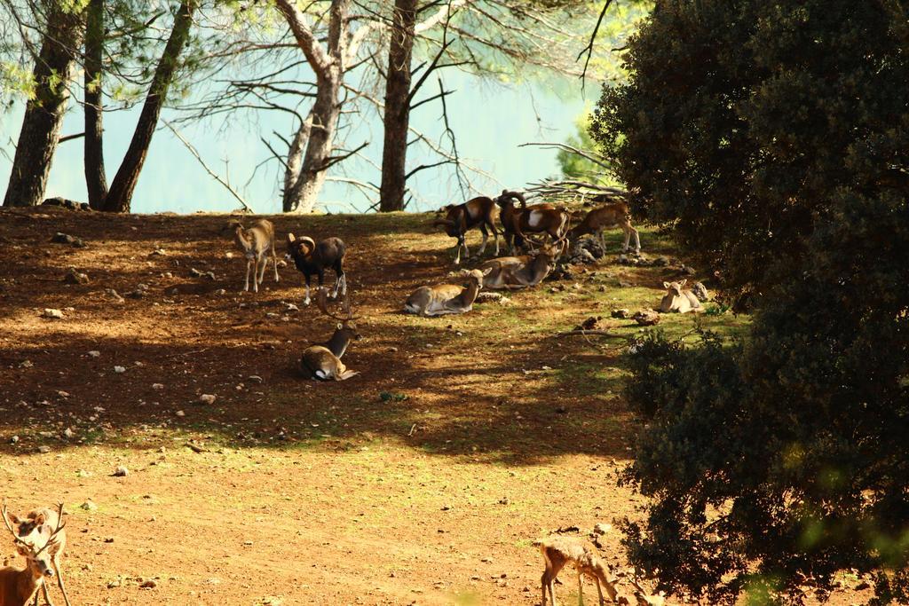 Hotel Balneario Parque De Cazorla Arroyo Frio Bagian luar foto
